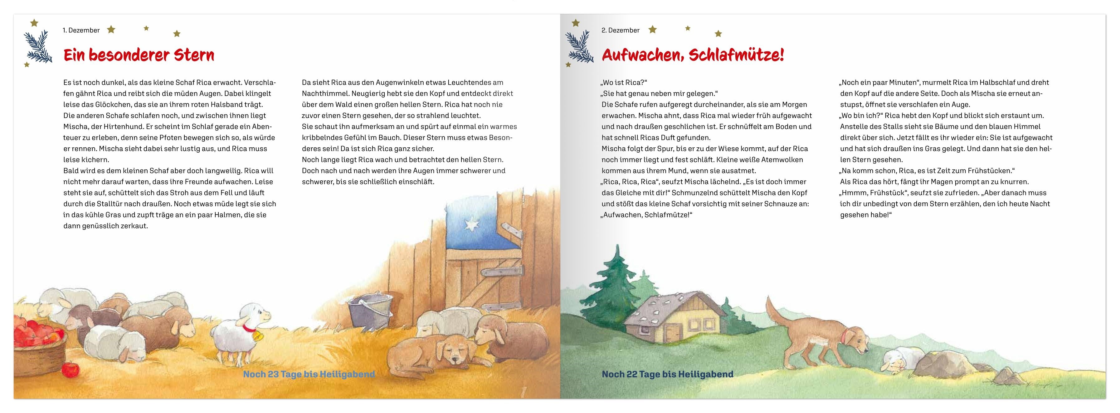 rica-und-der-geheimnisvolle-stern-buch-adventskalender-ab-4 image 3
