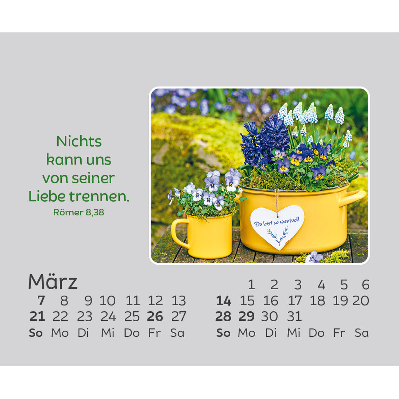 fontis-freude-f-r-jeden-tag-2027-aufstellkalender-mini-blumen image 5