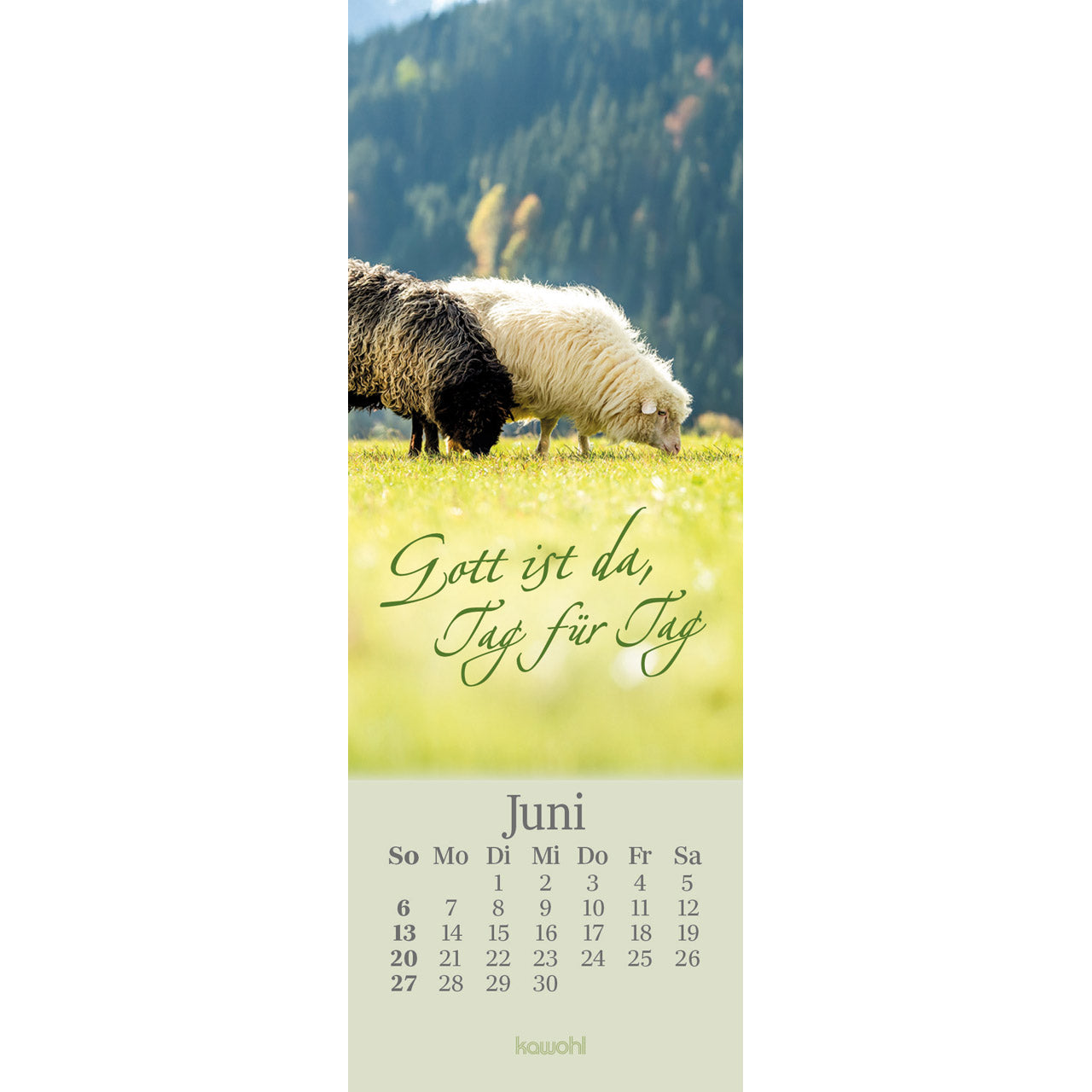 fontis-kalender-sei-beh-tet-jeden-tag-2027-lesezeichen-psalm-23 image 8