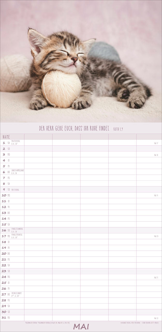 fontis-kalender-katzen-anmut-auf-vier-pfoten-familienplaner-2027 image 7
