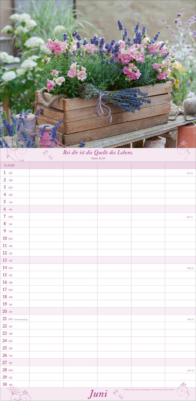 fontis-kalender-gartenfreude-2027-familien-wandplaner-5-spalten image 8