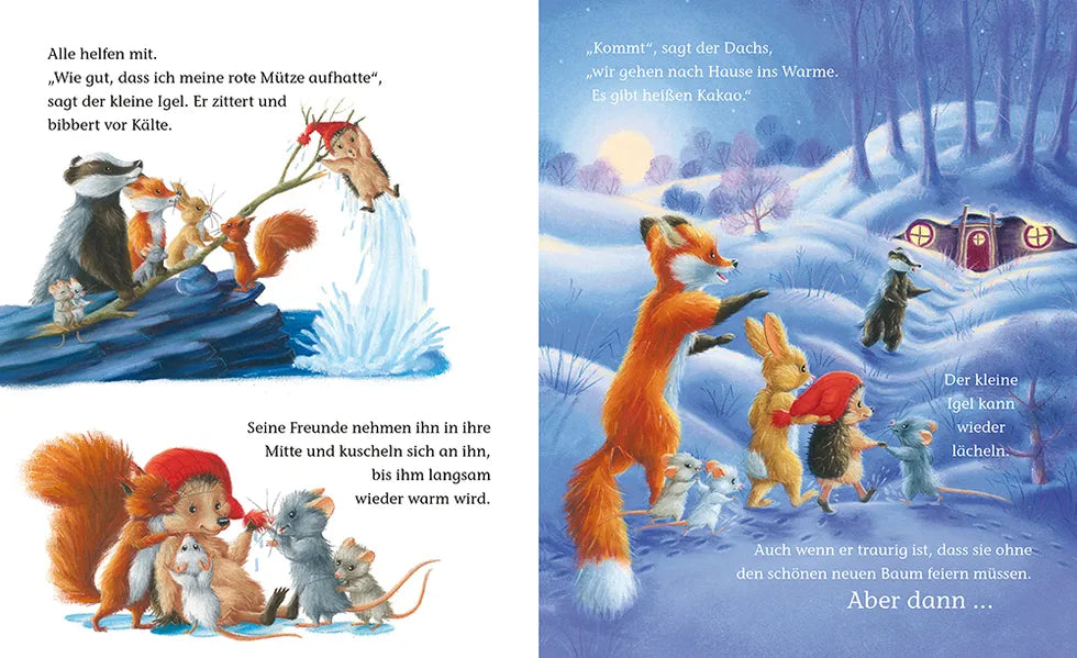 der-kleine-igel-wahre-weihnachtsfreude-bilderbuch-ab-3-jahre image 4