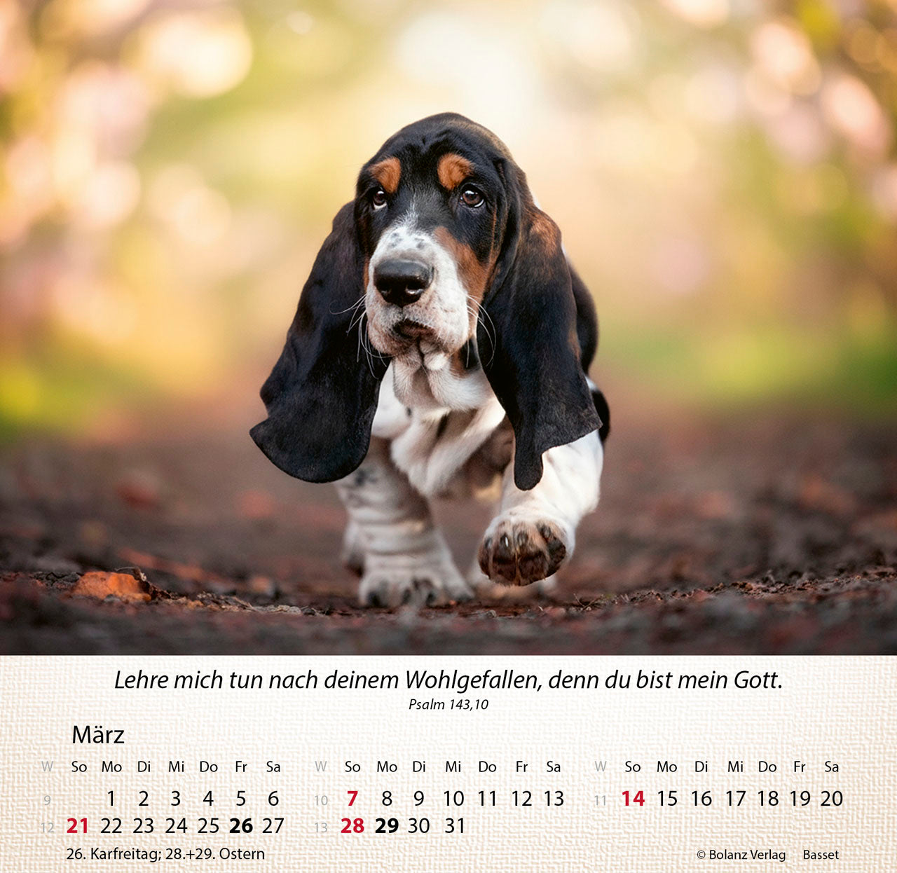 hunde-2027-aufstellkalender-tischkalender-mit-bibelversen image 5