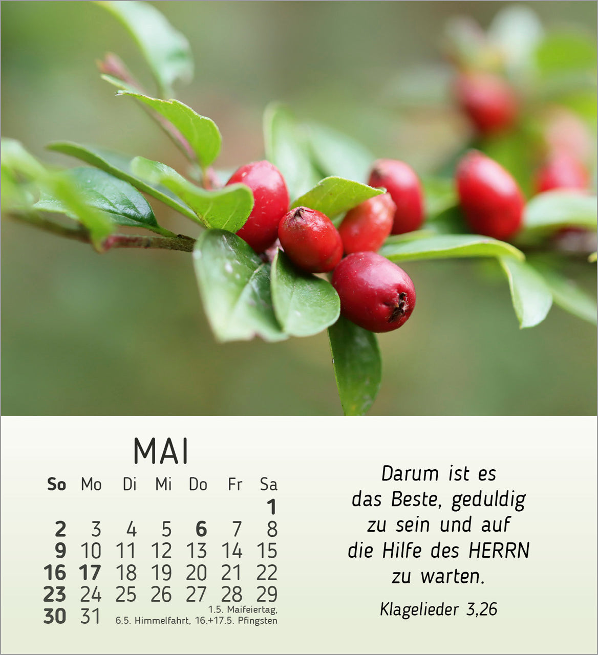 fontis-stille-begegnungen-2027-aufstellkalender-natur-bibelverse image 7