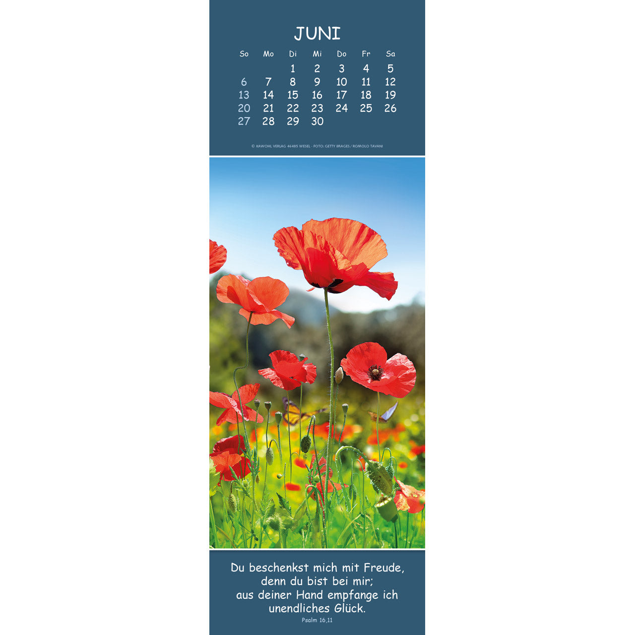 fontis-gedanken-des-friedens-2027-wandkalender-bibelverse image 8
