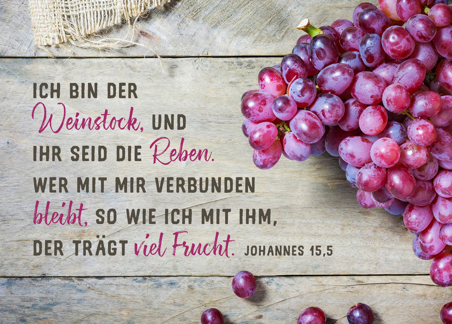 fontis-ich-bin-der-weinstock-postkarte-johannes-15-5-bibelvers image 1