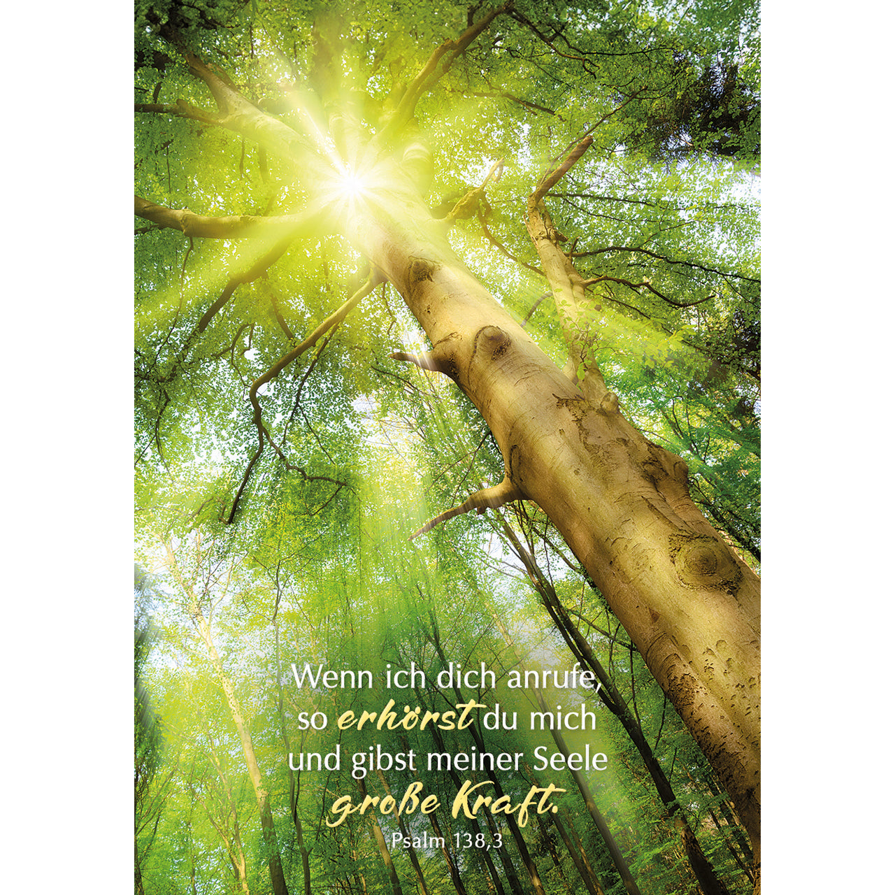 fontis-heute-und-morgen-in-gott-geborgen-karten-box-55-karten image 8