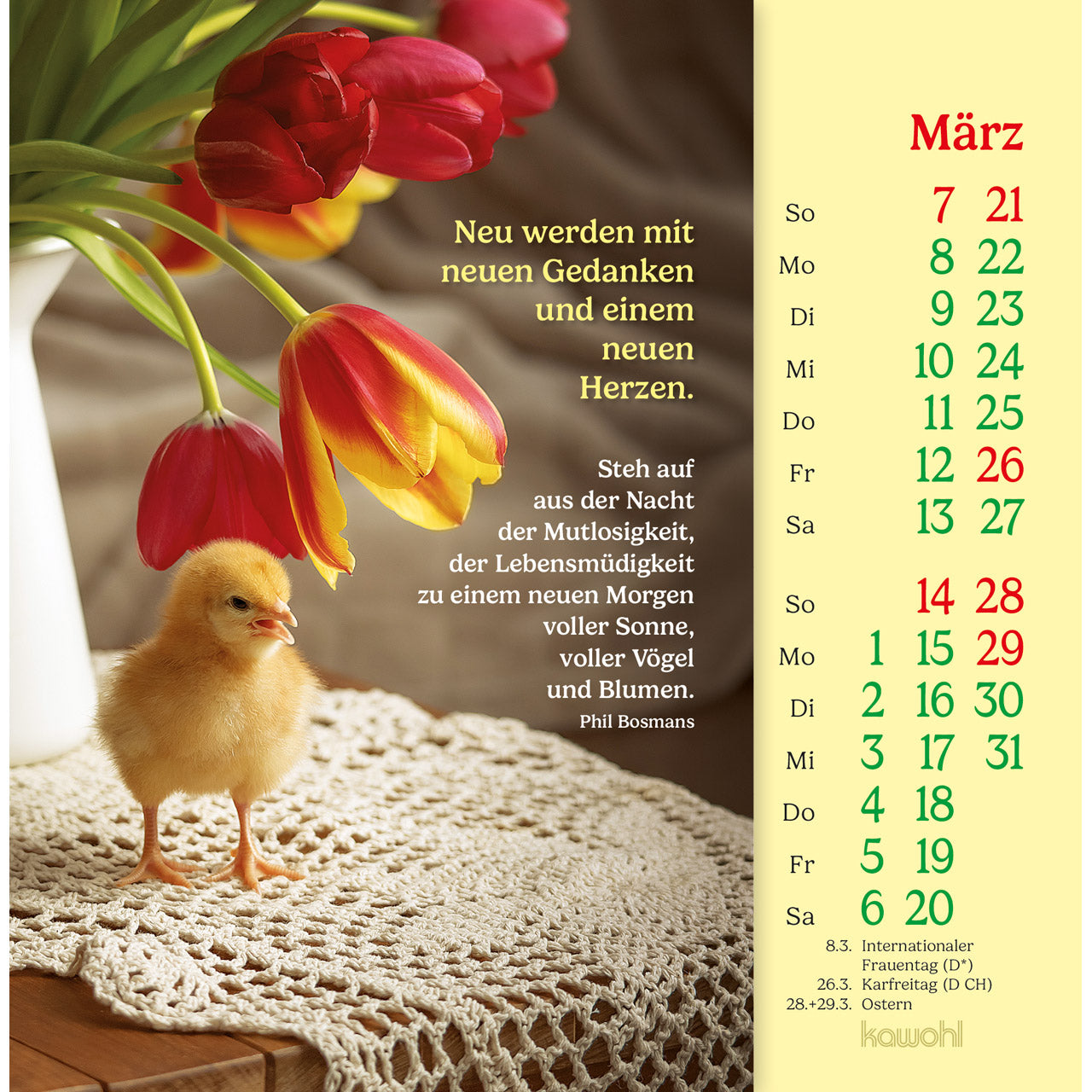 fontis-phil-bosmans-2027-postkartenkalender-aufsteller image 5
