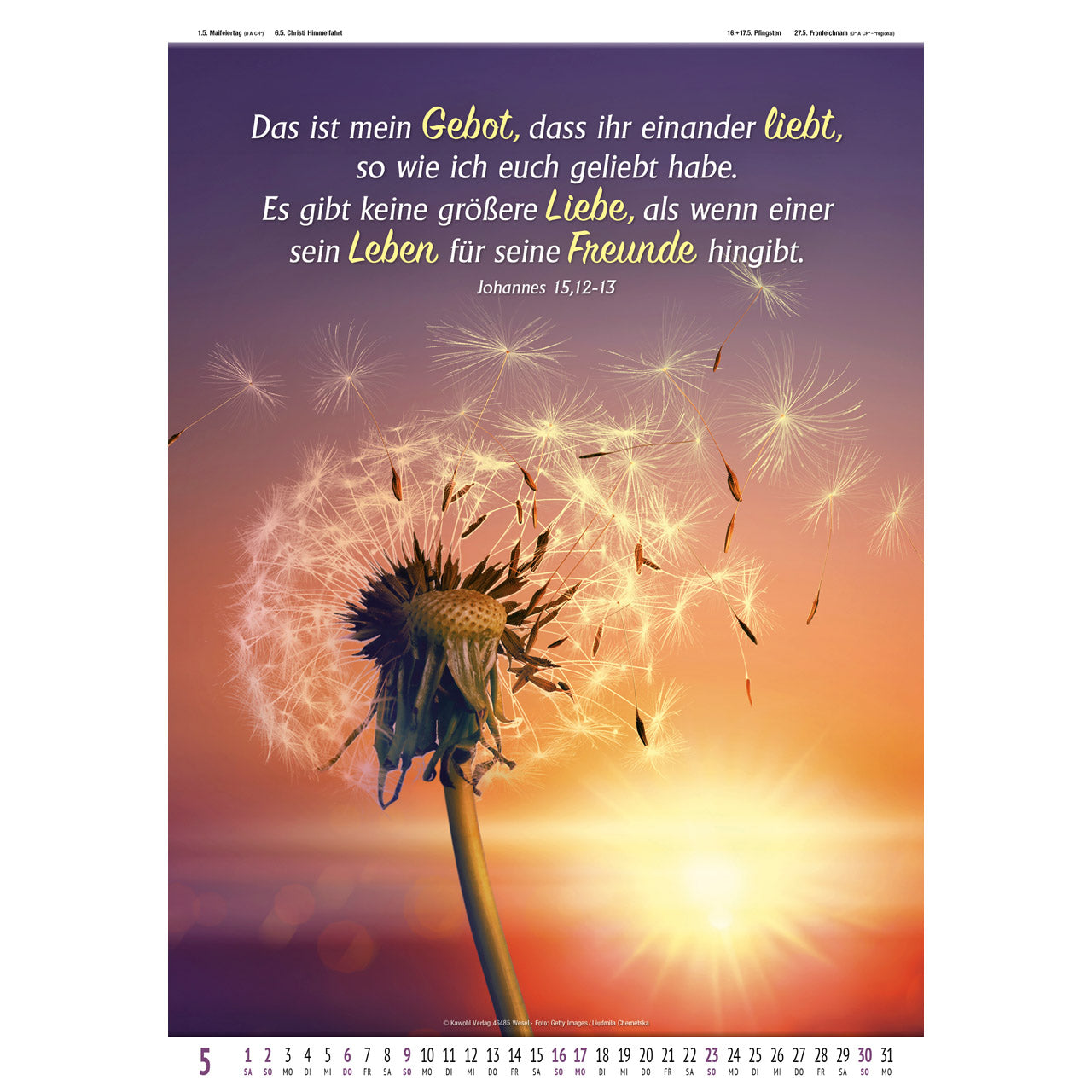 fontis-gottes-wort-licht-auf-dem-weg-2027-wandkalender-spirale image 7