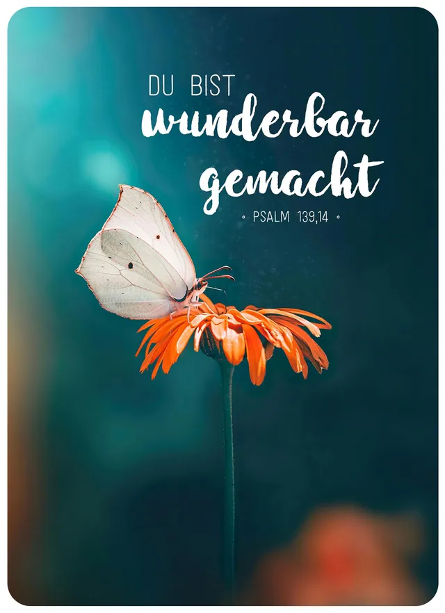 fontis-papeterie-du-bist-wunderbar-gemacht-postkarte-big-blessing-xl image 1