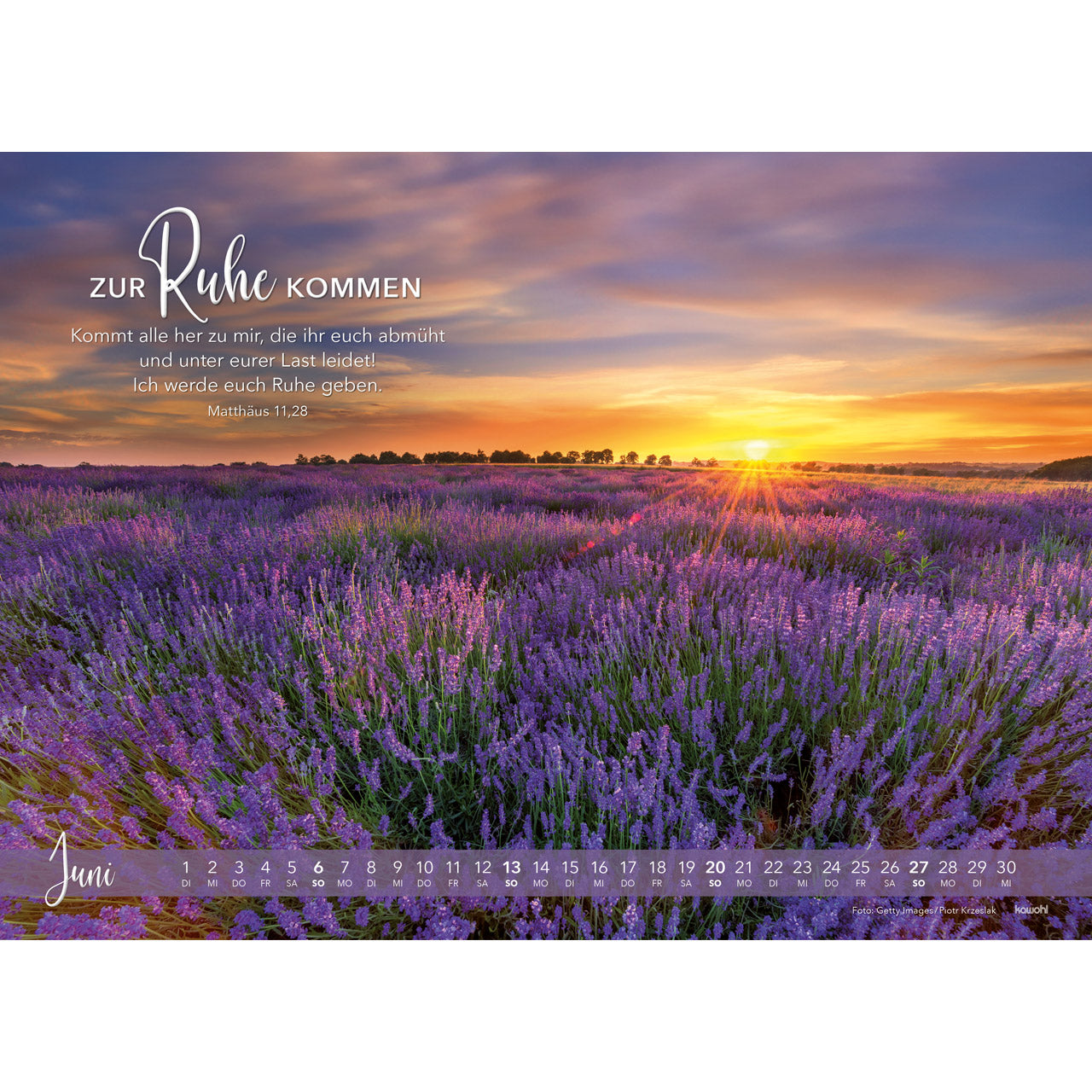 fontis-kalender-die-liebe-bleibt-2027-wandkalender-42x30-cm image 8