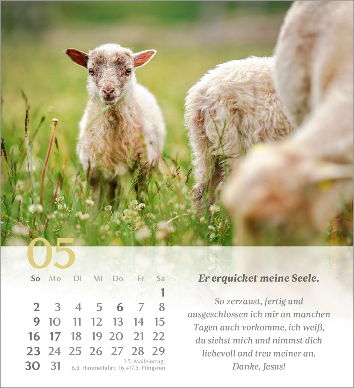 psalm-23-der-herr-ist-mein-hirte-2027-aufstellkalender image 7