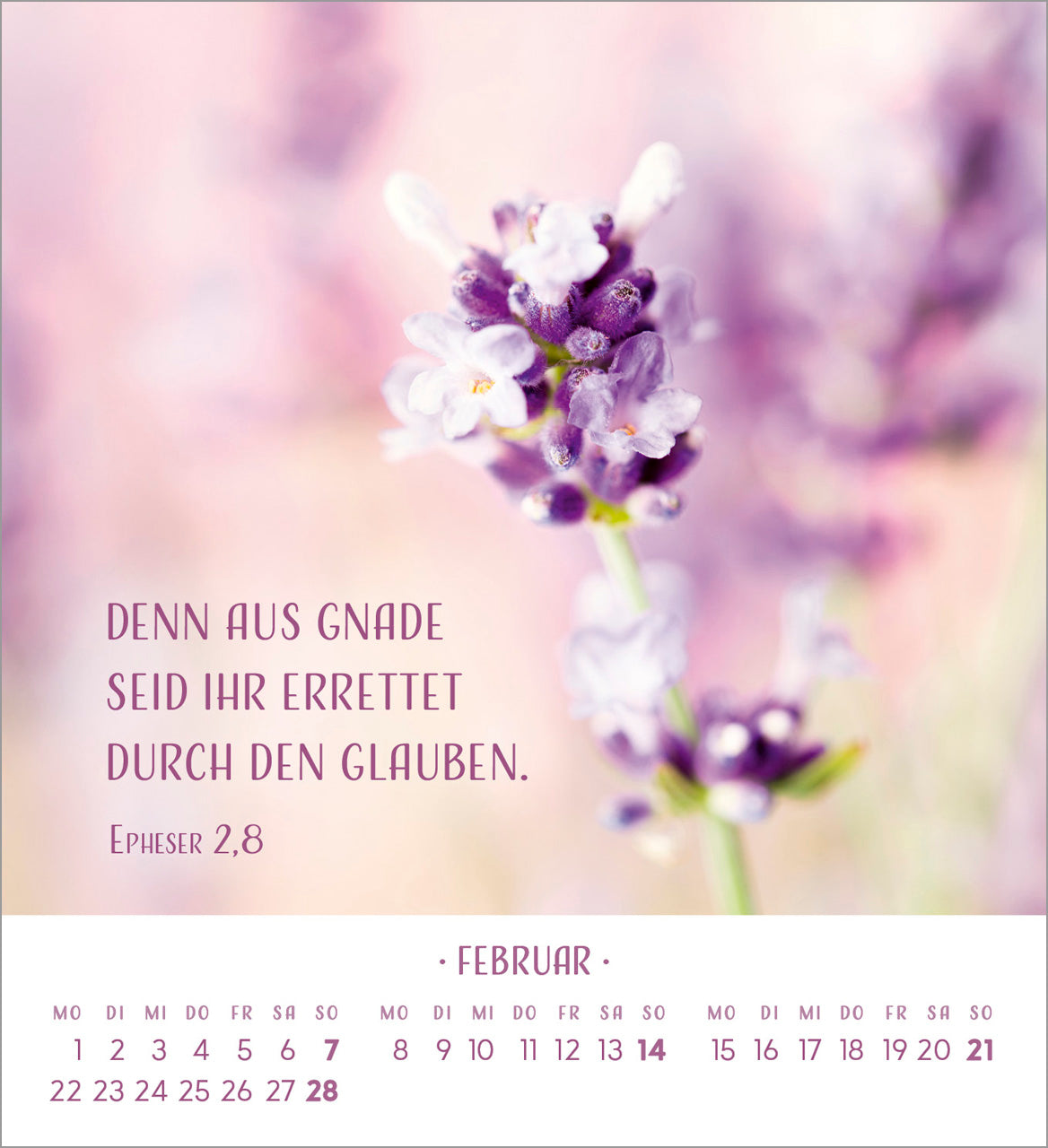fontis-zarte-blumengr-e-2027-aufstellkalender image 4