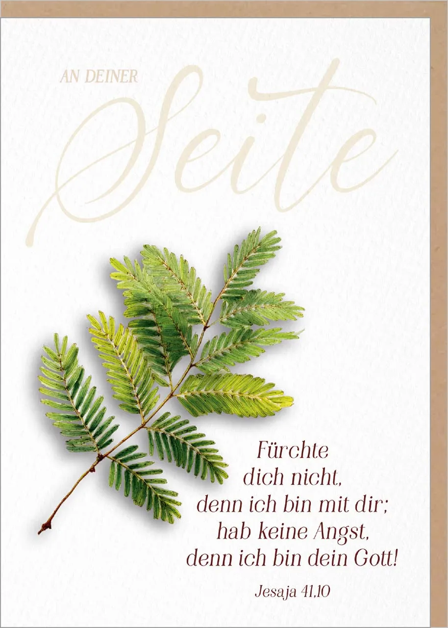 fontis-f-rchte-dich-nicht-faltkarte-jahreslosung-2027-umschlag image 1