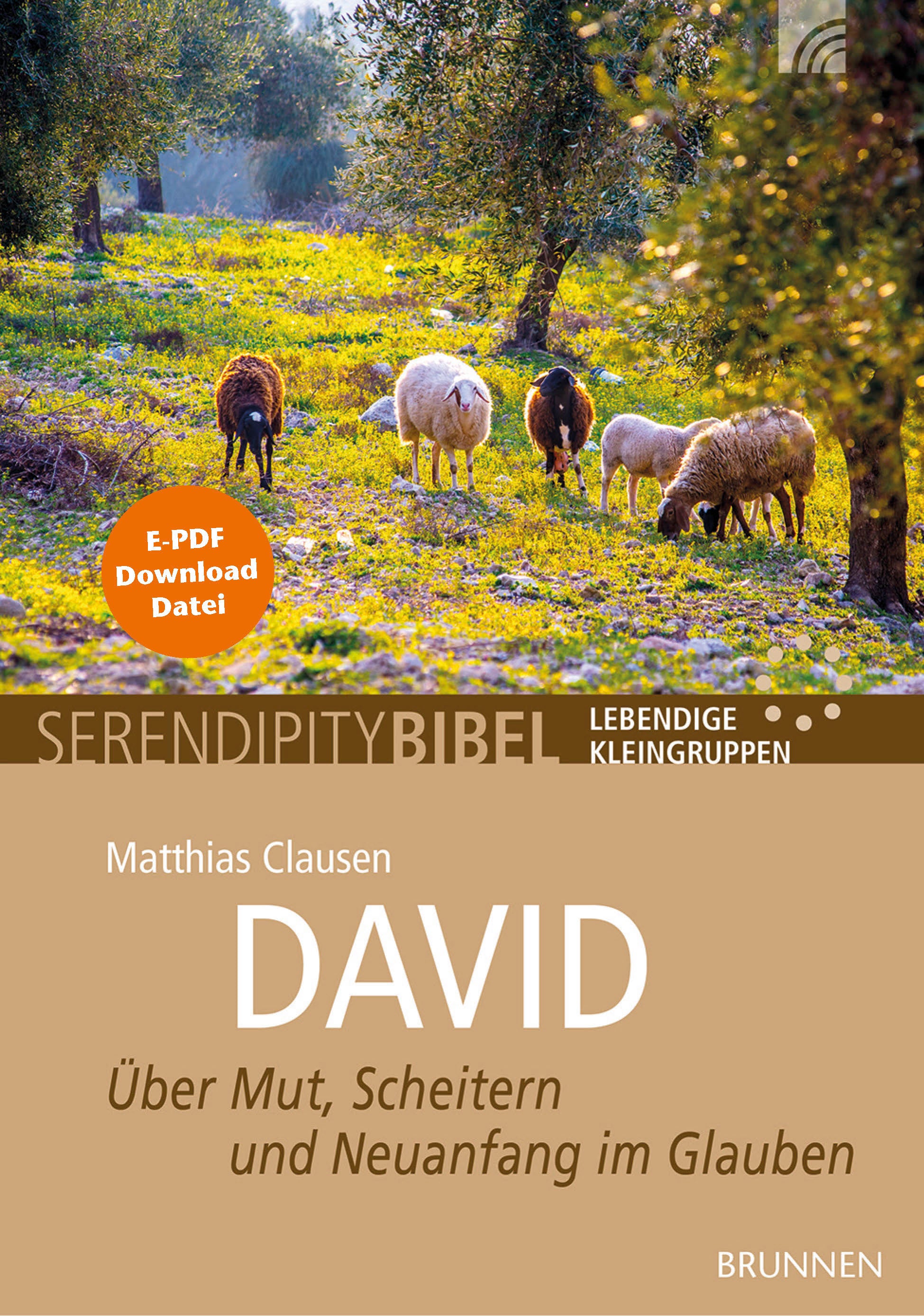 fontis-david-serendipity-bibel-e-book-hauskreis image 1