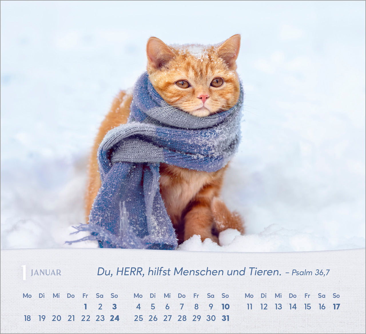 fontis-katzen-2027-aufstellkalender-tischkalender-bibelverse image 3