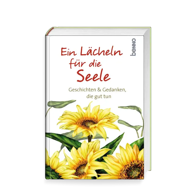 bonifatiuswerk-ein-l-cheln-f-r-die-seele-geschichten-auszeit-144-seiten image 1