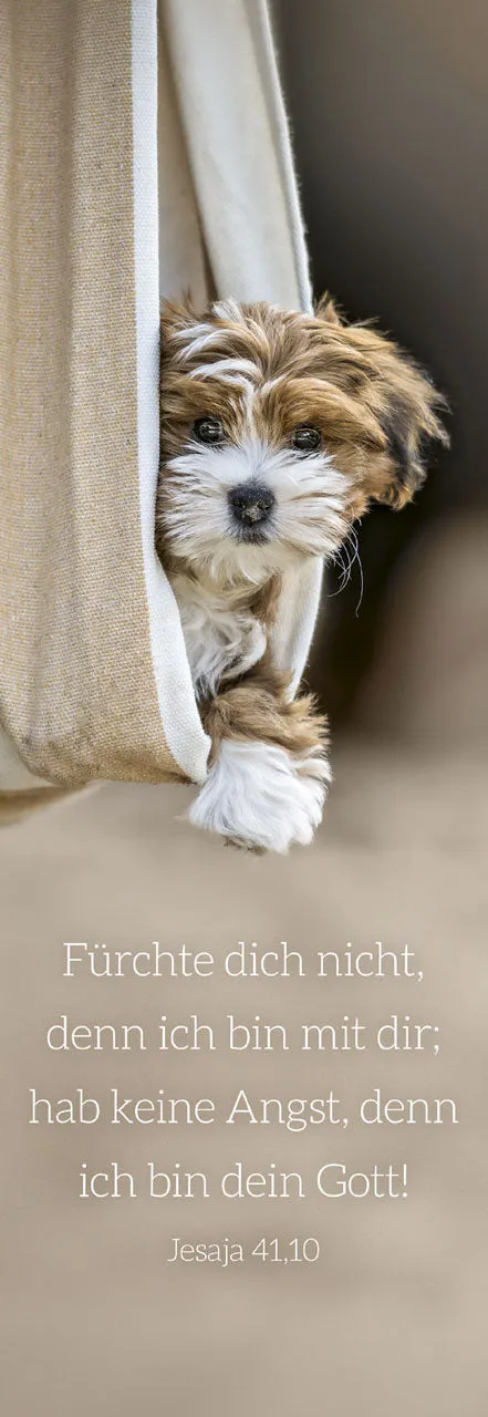 fontis-papeterie-f-rchte-dich-nicht-lesezeichen-hund-10er-set image 1
