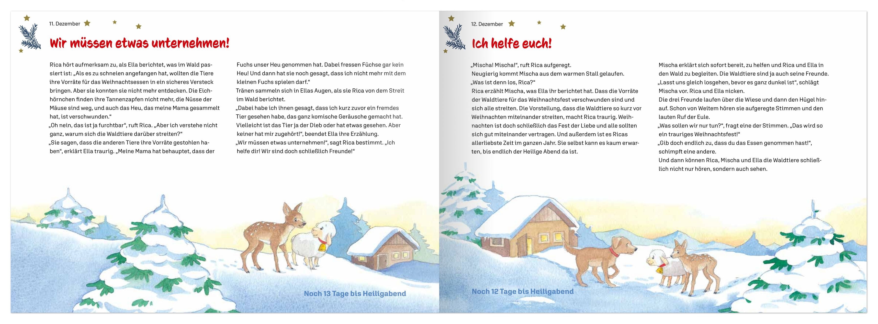 rica-und-der-geheimnisvolle-stern-buch-adventskalender-ab-4 image 4