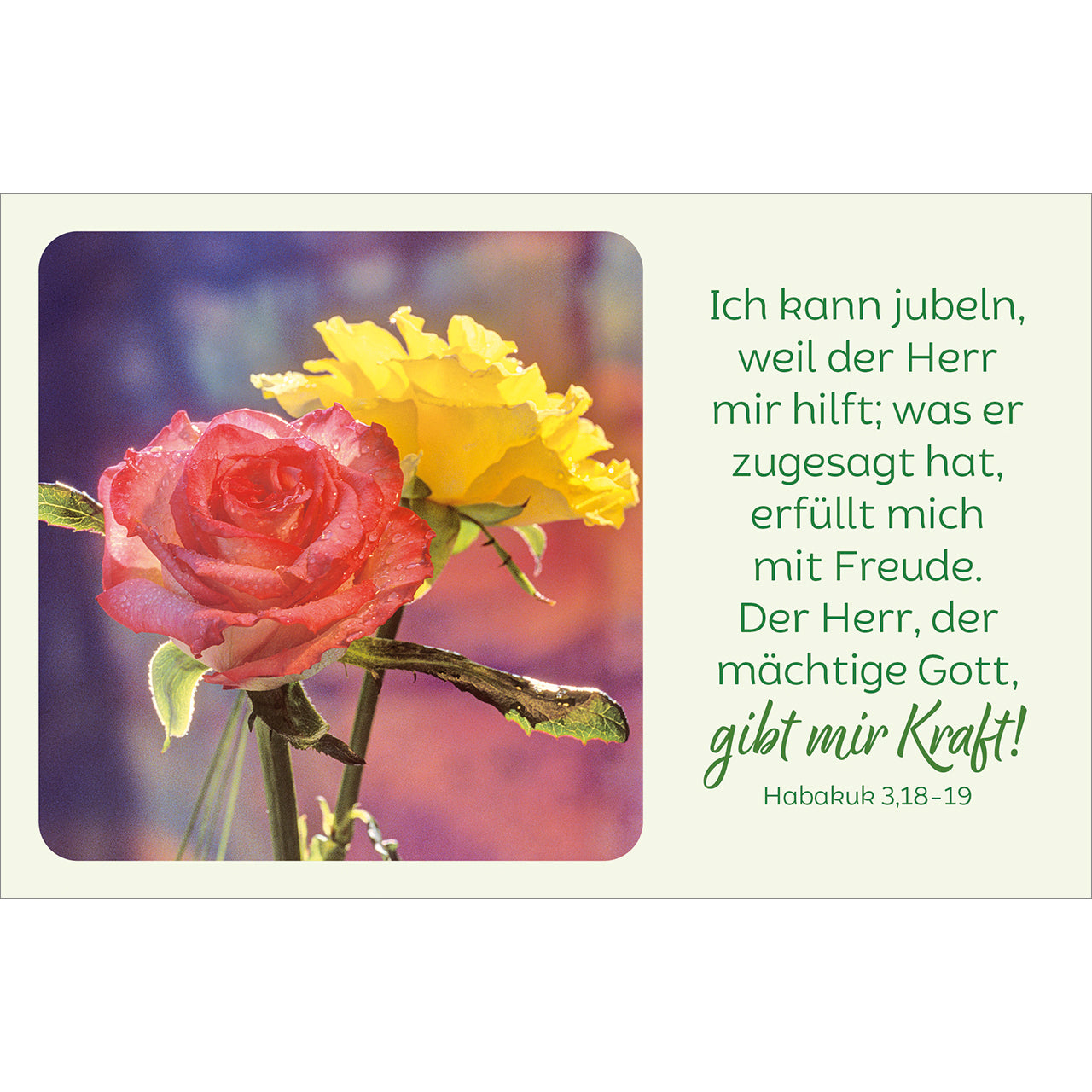 fontis-bl-tenreiche-bibelverse-kartenbox-62-karten-trost-zuversicht image 6