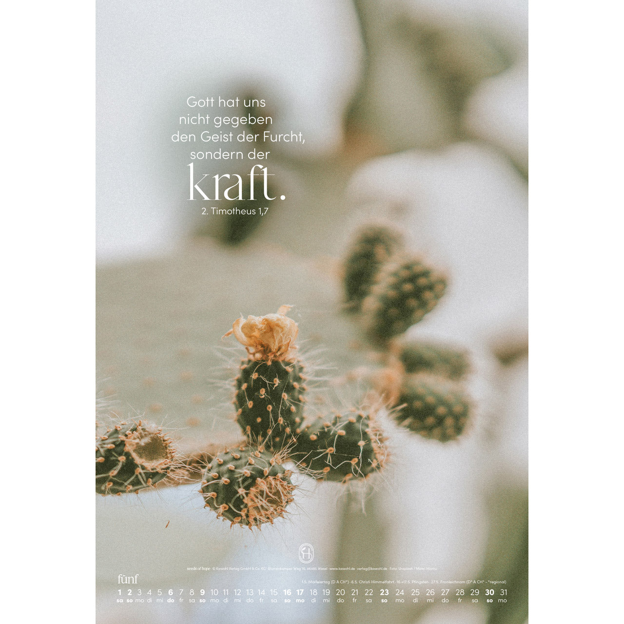 fontis-kalender-sein-wort-dein-weg-wandkalender-2027 image 7