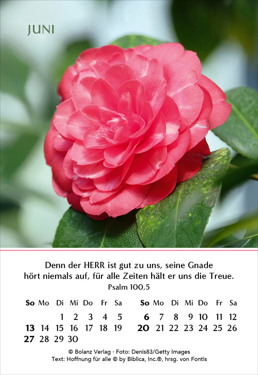 fontis-kalender-ein-jahr-der-freude-2027-minikalender-blumen image 8
