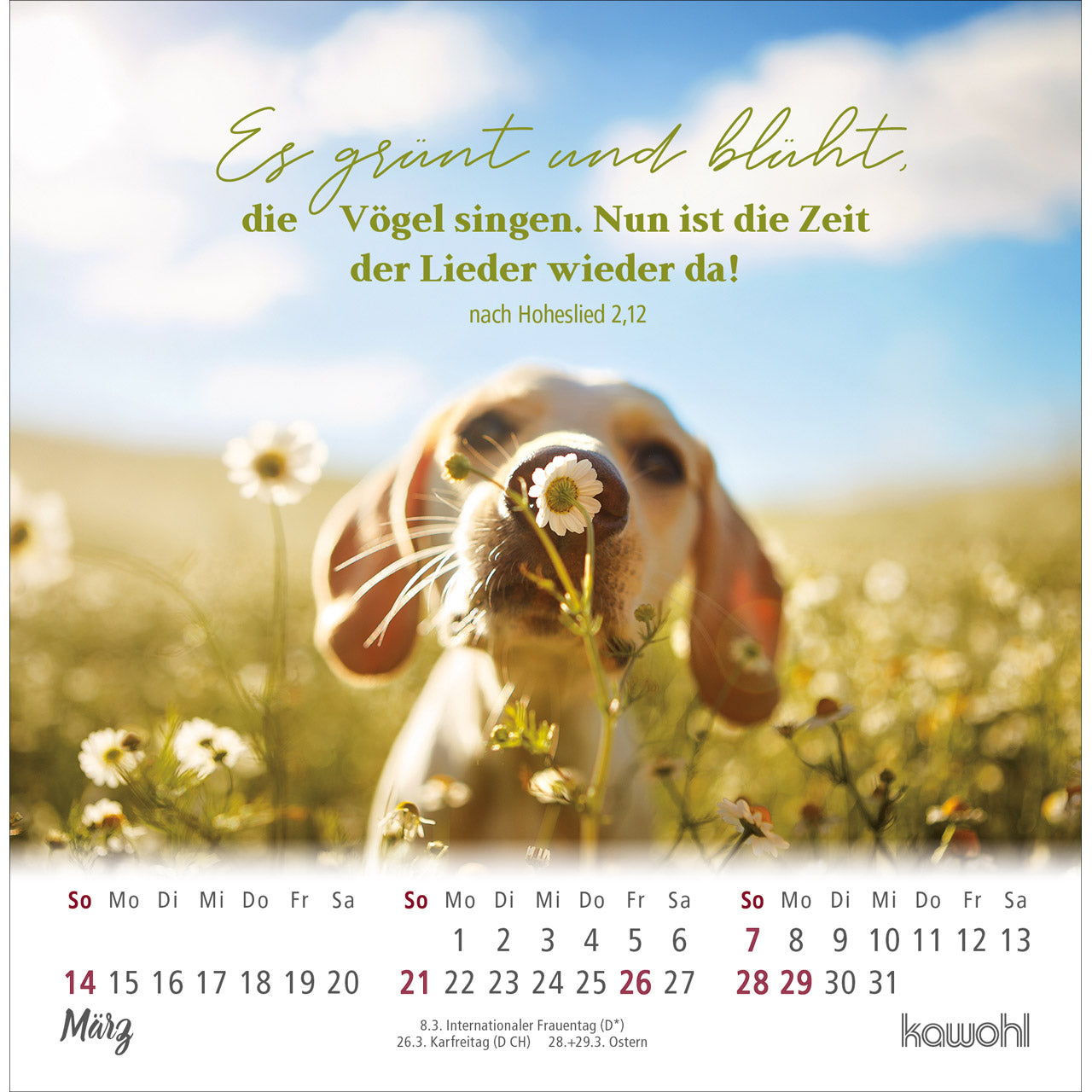 ankommen-leben-2027-postkartenkalender-spiralbindung image 5