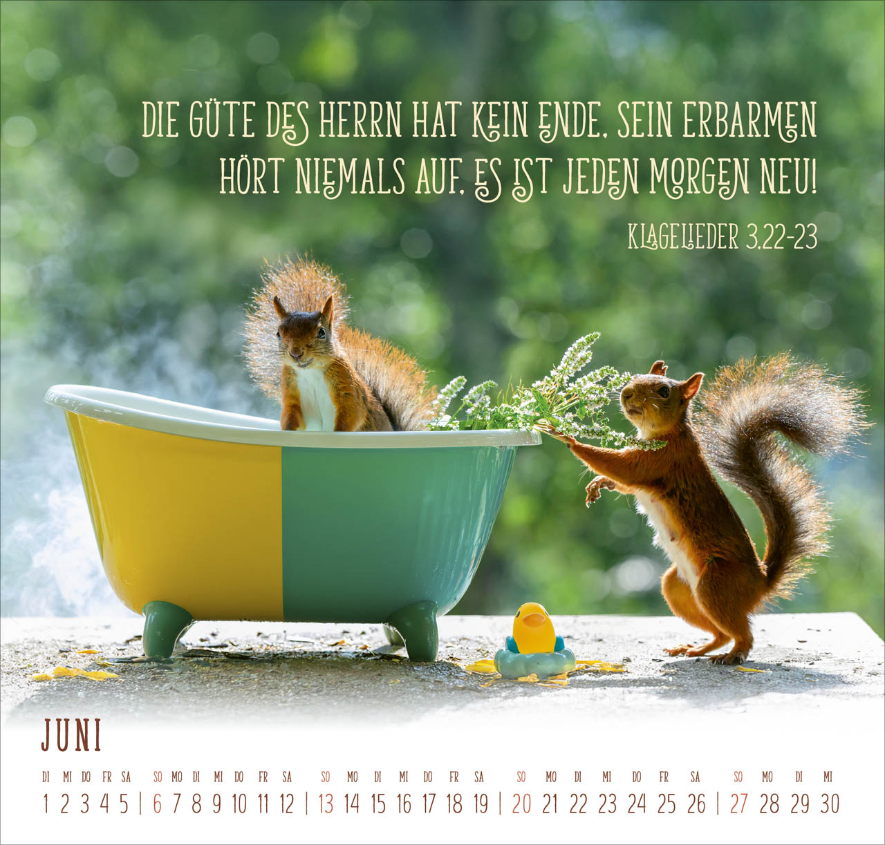 fontis-kalender-du-machst-mich-froh-2027-wandkalender-eichh-rnchen image 8