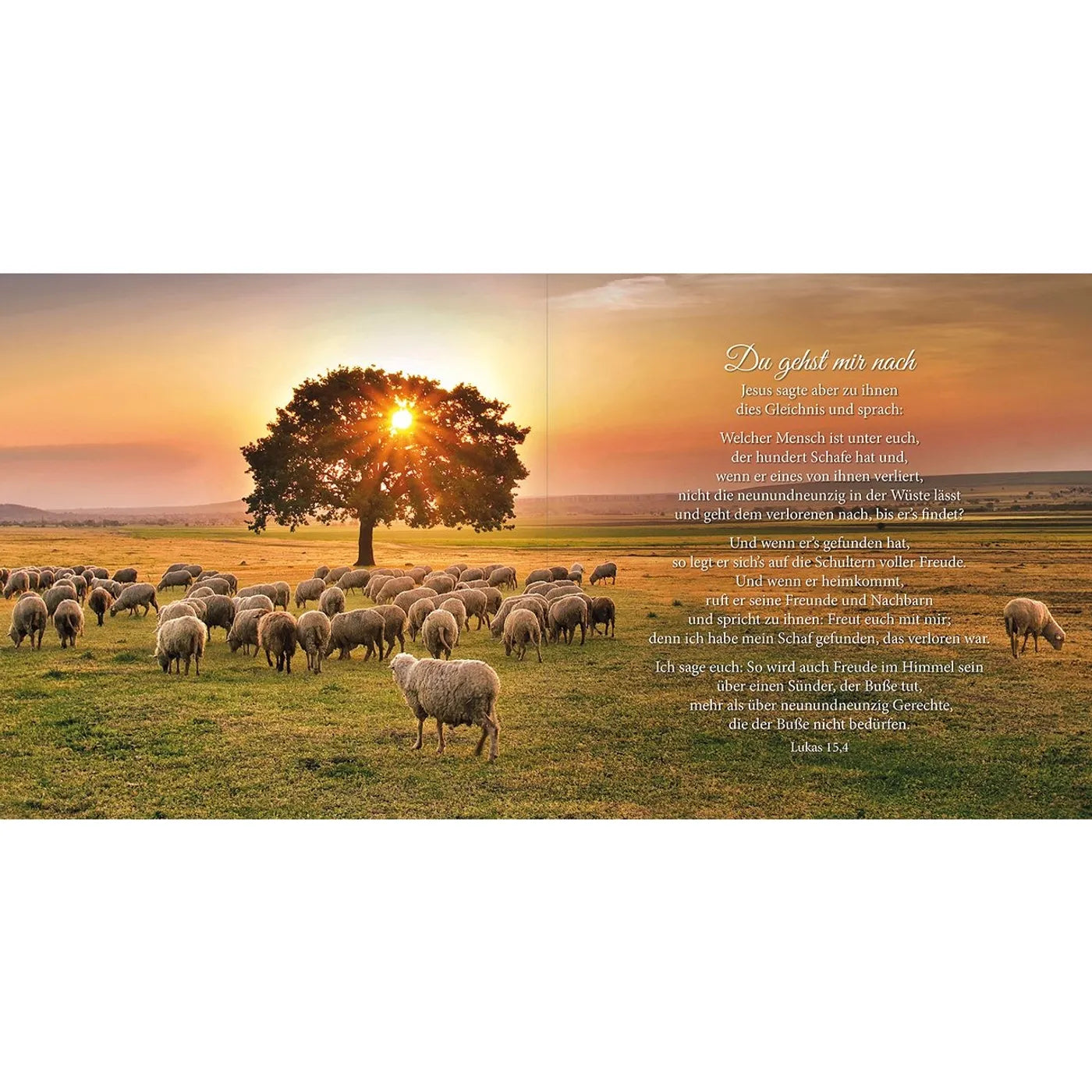 fontis-b-cher-psalm-23-bildband-gebunden-der-herr-ist-mein-hirte-geschenk image 5