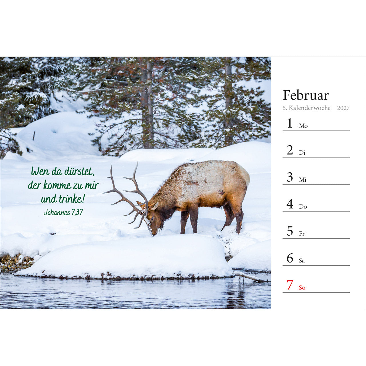 fontis-in-deine-hand-stell-ich-den-tag-2027-wochenkalender image 8