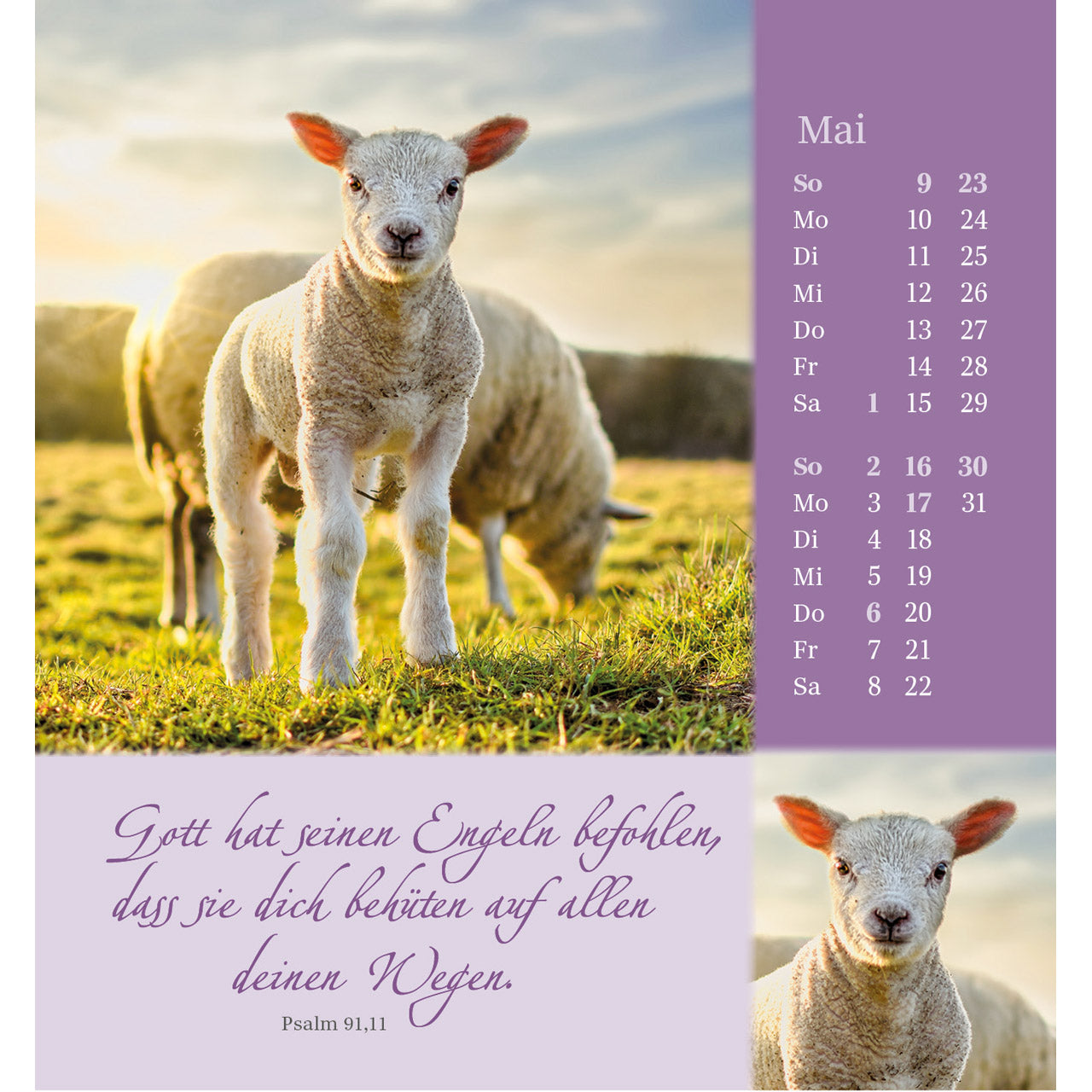fontis-kalender-sei-beh-tet-und-geborgen-2027-aufstellkalender-psalm-23 image 7