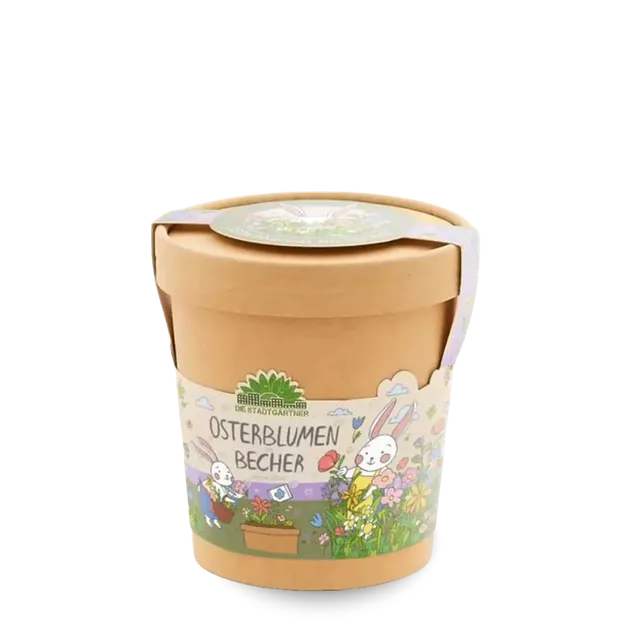 bonifatiuswerk-osterblumen-aus-dem-becher-anzuchtset-fr-hling image 1
