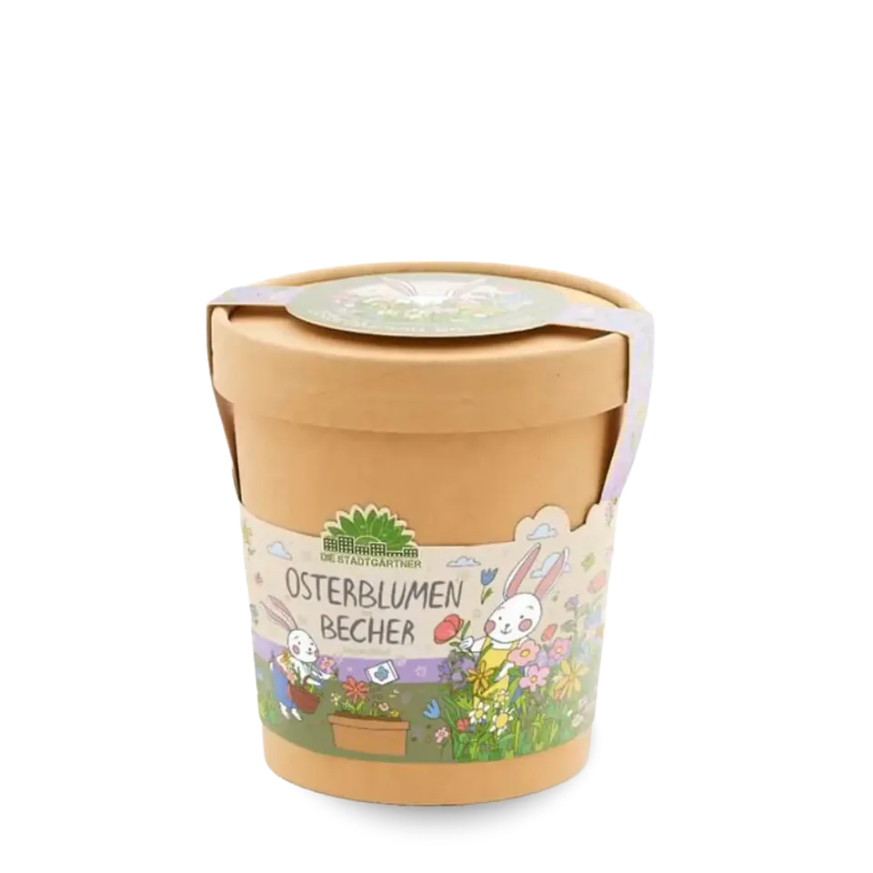 bonifatiuswerk-osterblumen-aus-dem-becher-anzuchtset-fr-hling image 1