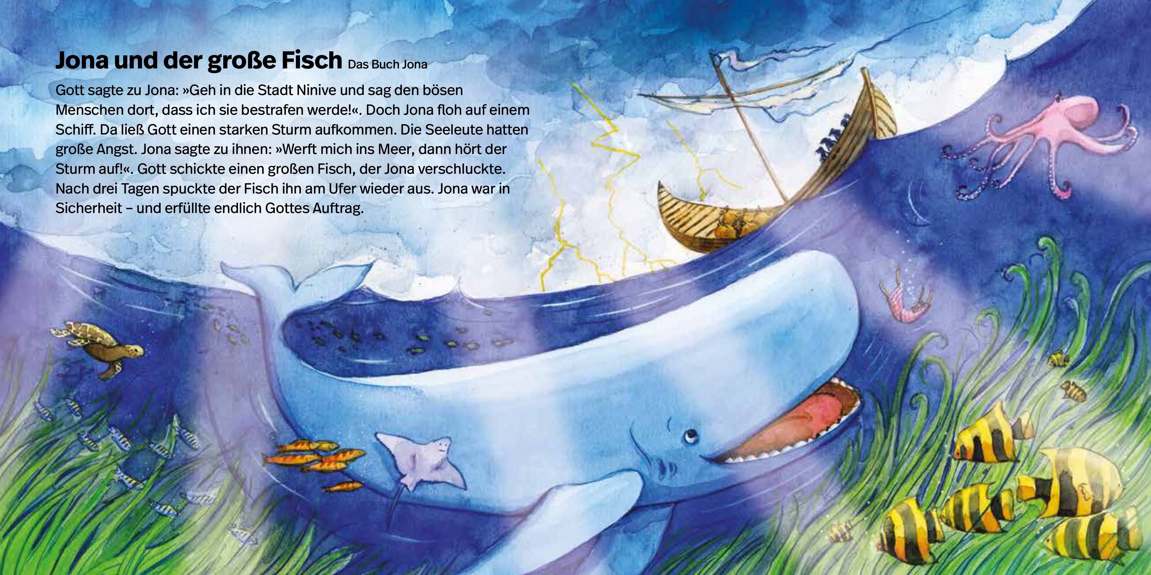 fontis-meine-liebste-kinderbibel-kinderbibel-pappband-ab-2-jahre image 4