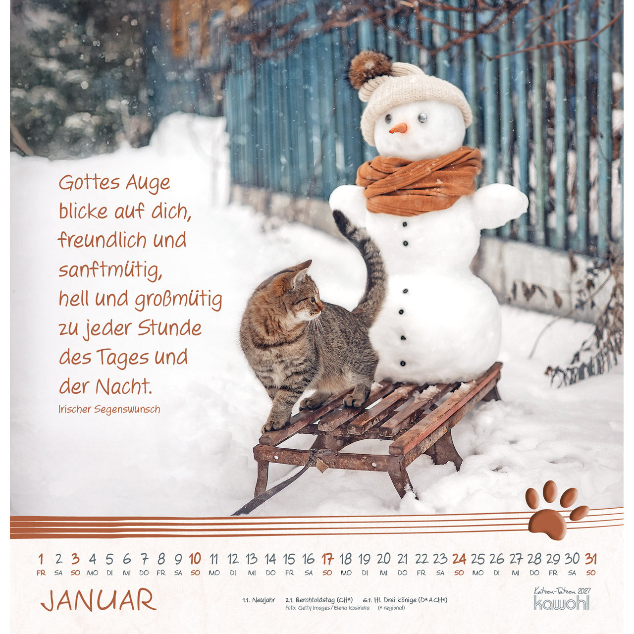 fontis-katzen-tatzen-2027-wandkalender-spiralbindung-katzen image 3