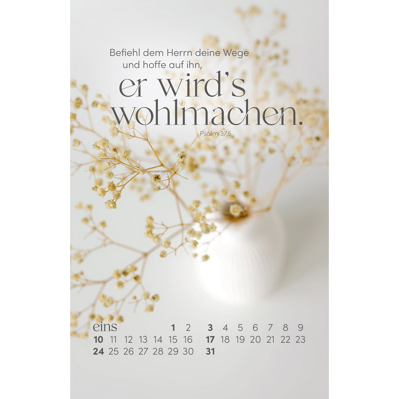 fontis-sein-wort-dein-fels-2027-postkartenkalender-mit-holzaufsteller image 3