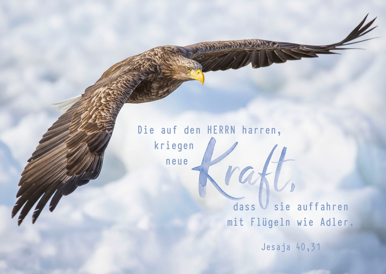 neue-kraft-12-postkarten-jesaja-40-31-adler-set image 1