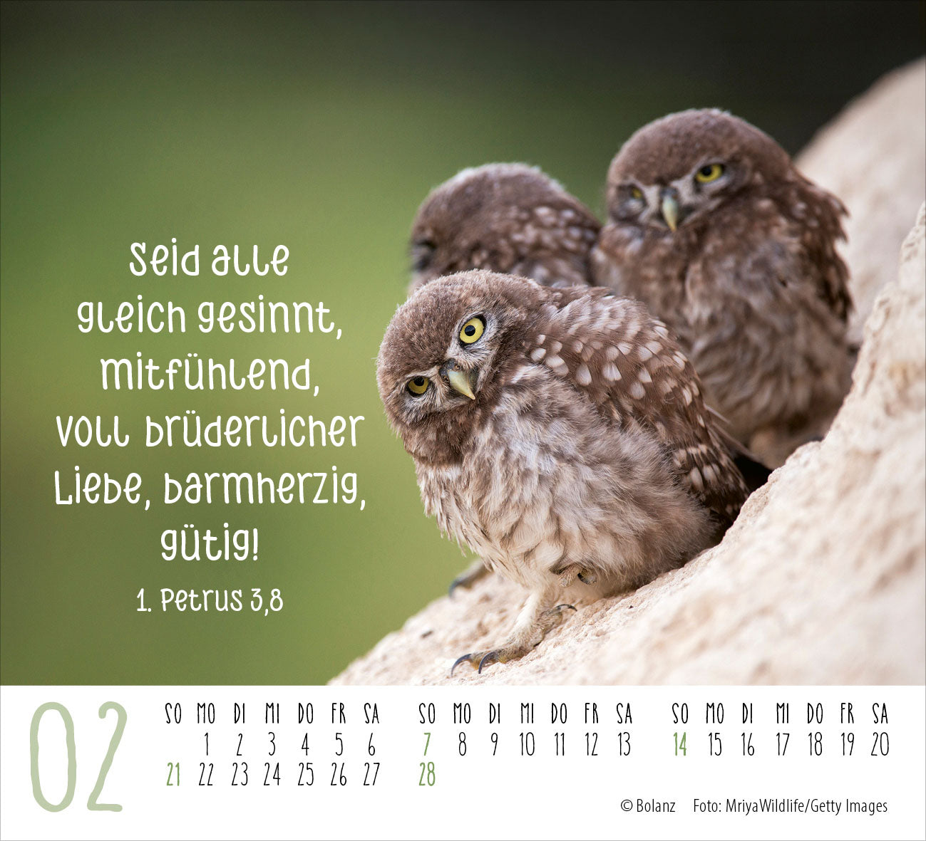 fontis-begegnungen-dich-vergess-ich-nie-minikalender-2027 image 4