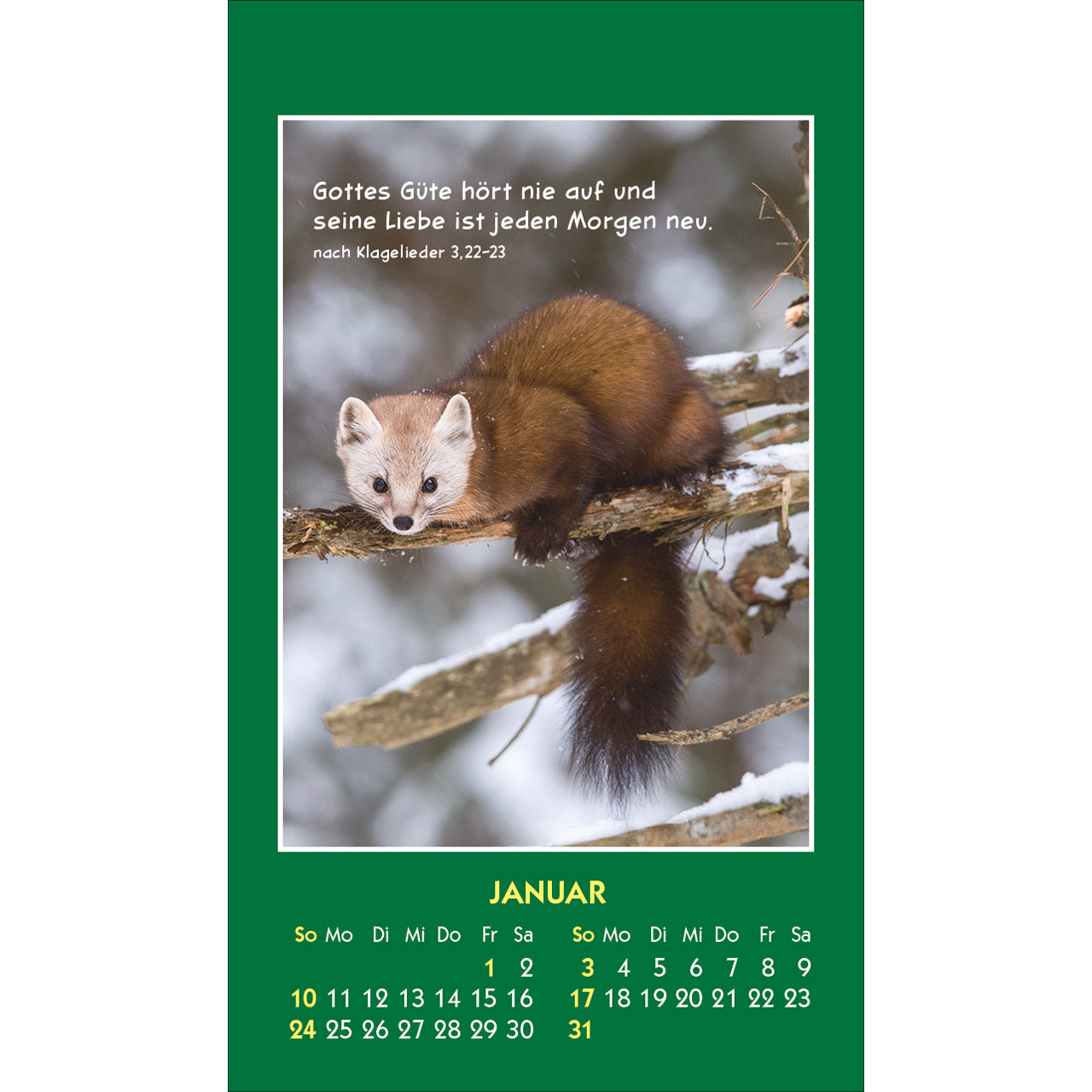 fontis-kalender-hallo-du-2027-aufkleberkalender-tiere image 3