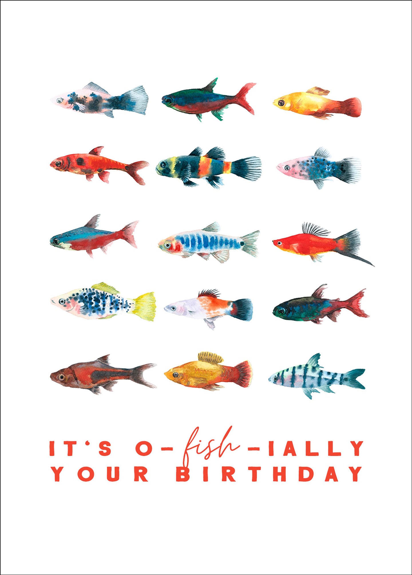 fontis-it-s-o-fish-ially-your-birthday-postkarte-14-8x10-5-cm image 1
