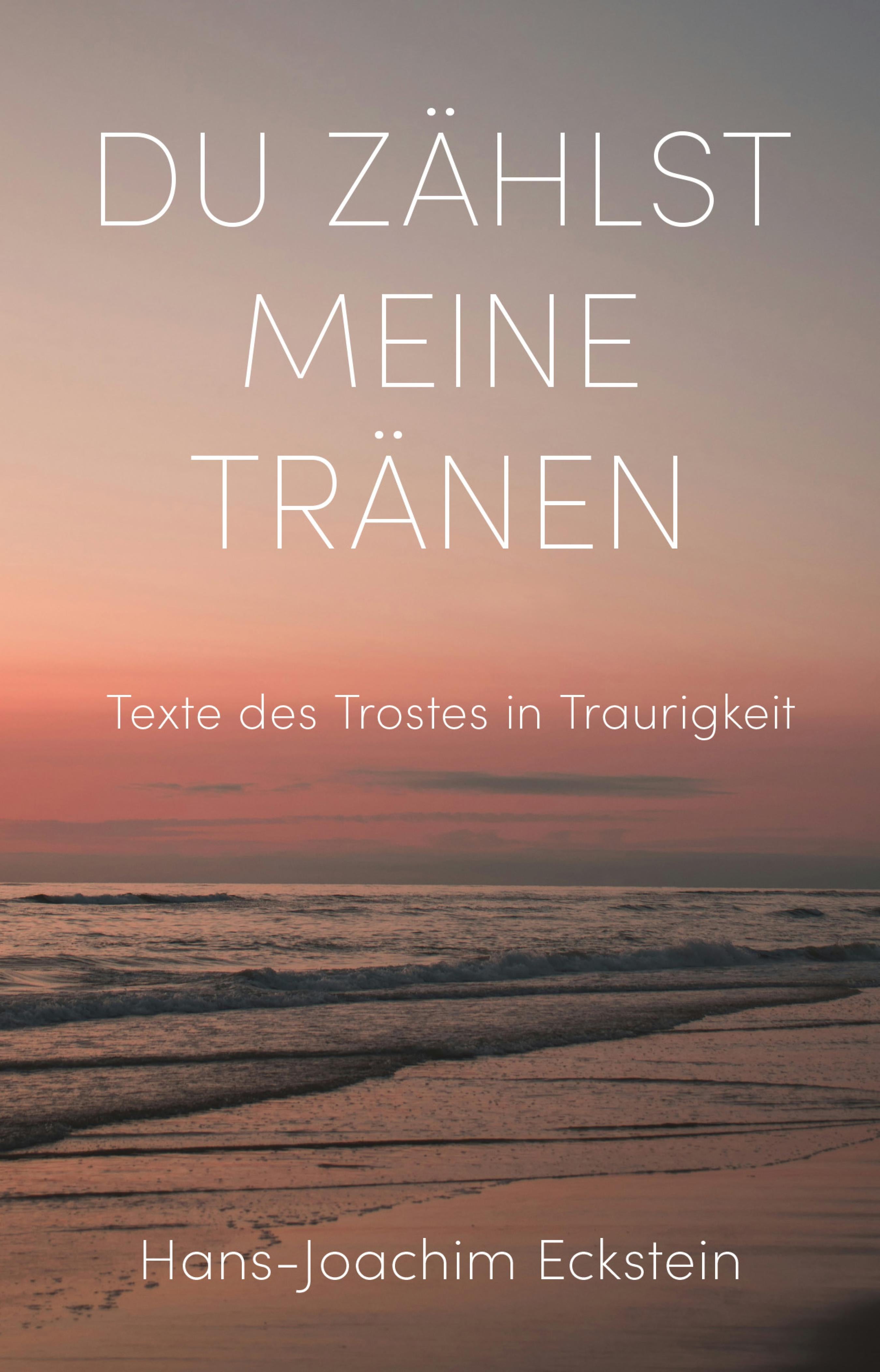 fontis-e-books-du-z-hlst-meine-tr-nen-e-book-eckstein image 1