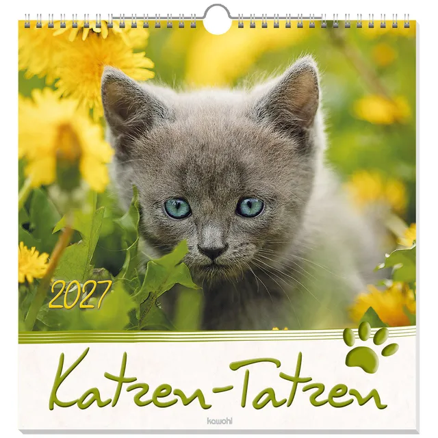 fontis-katzen-tatzen-2027-wandkalender-spiralbindung-katzen image 1