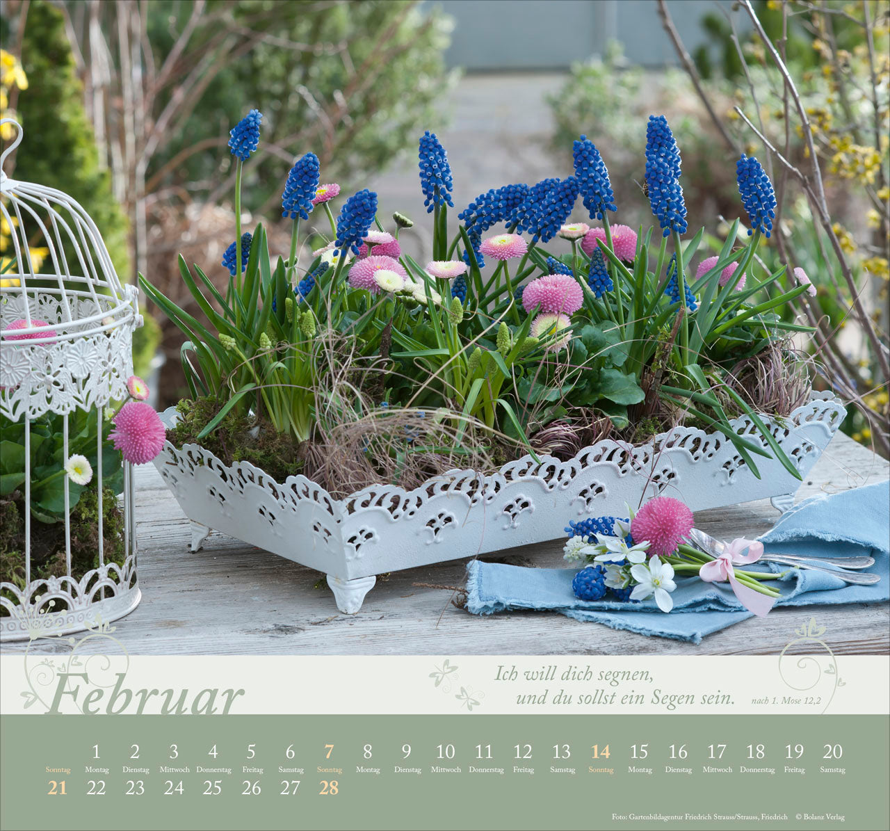 fontis-im-garten-zuhause-2027-wandkalender-mit-bibelversen image 4