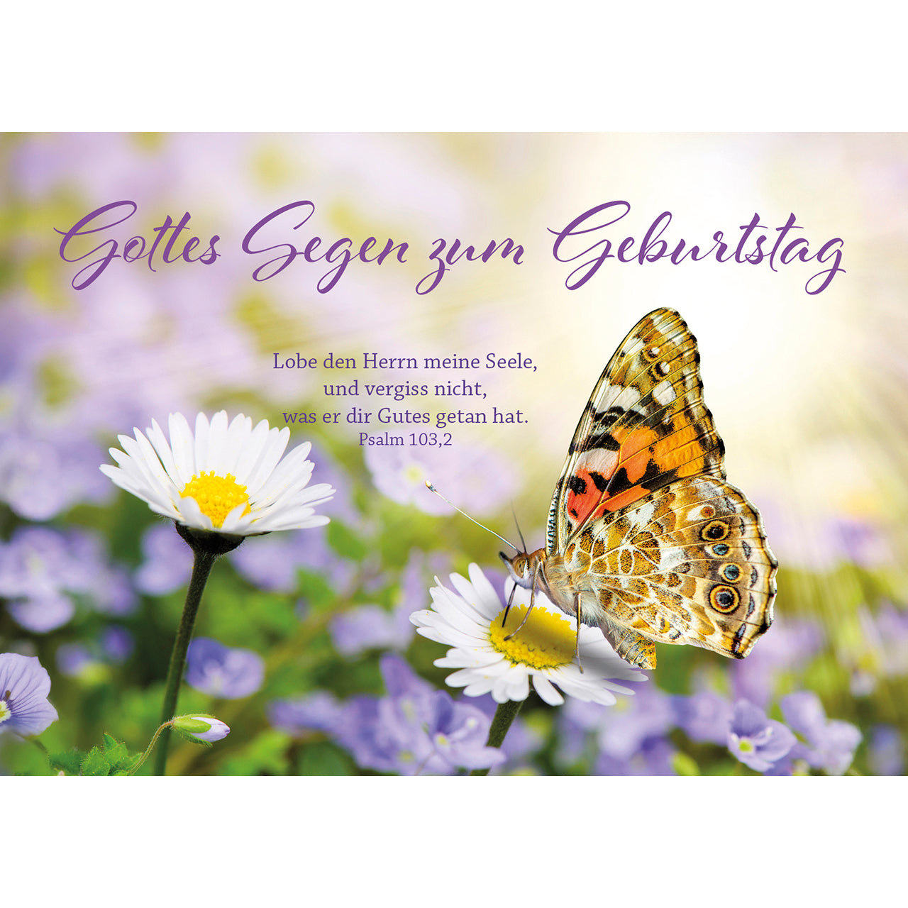 fontis-gottes-segen-geburtstag-postkarten-12er-psalm image 1
