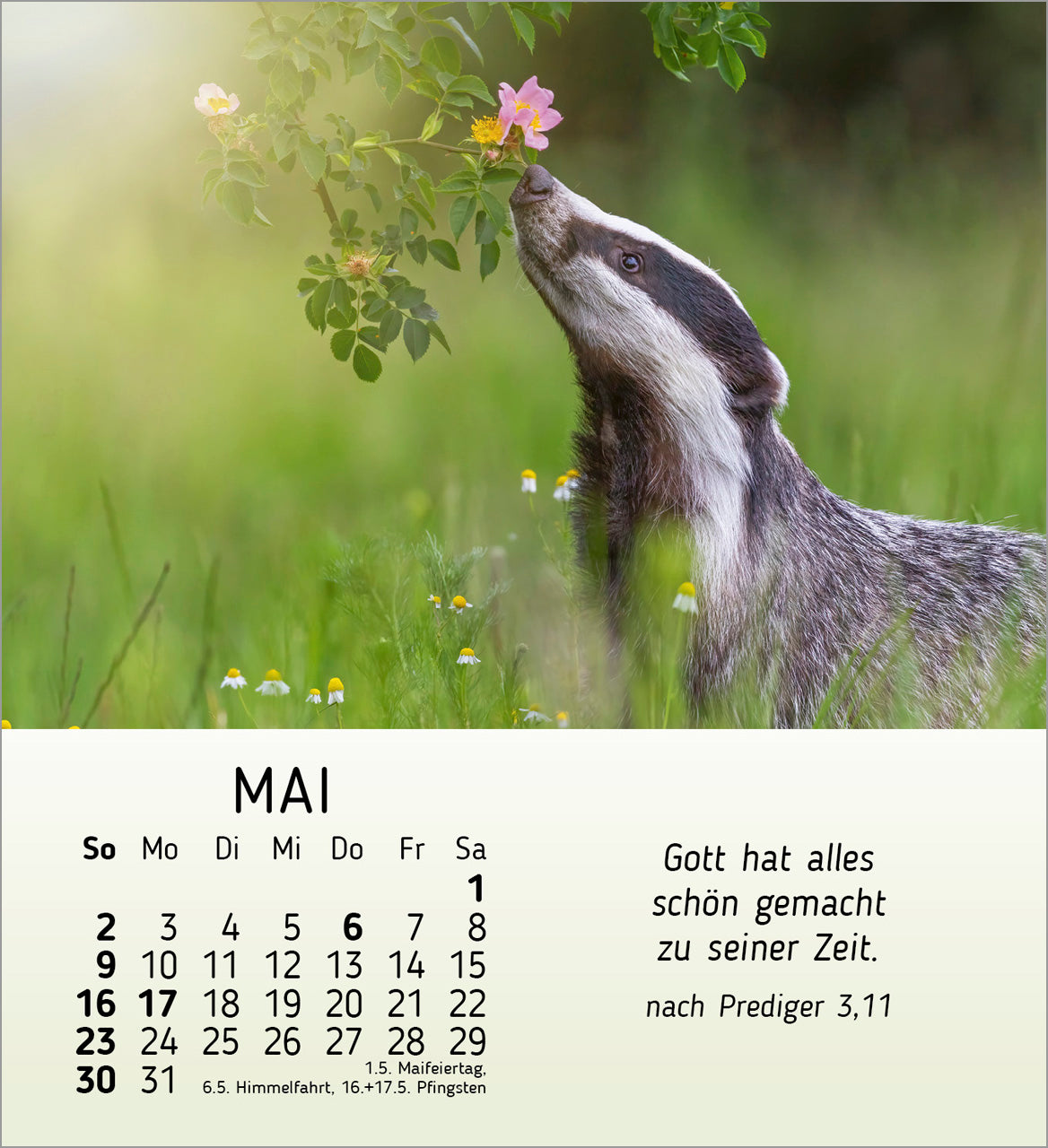 fontis-kalender-meine-kleinen-freunde-2027-aufstellkalender-tiere-kinder image 7