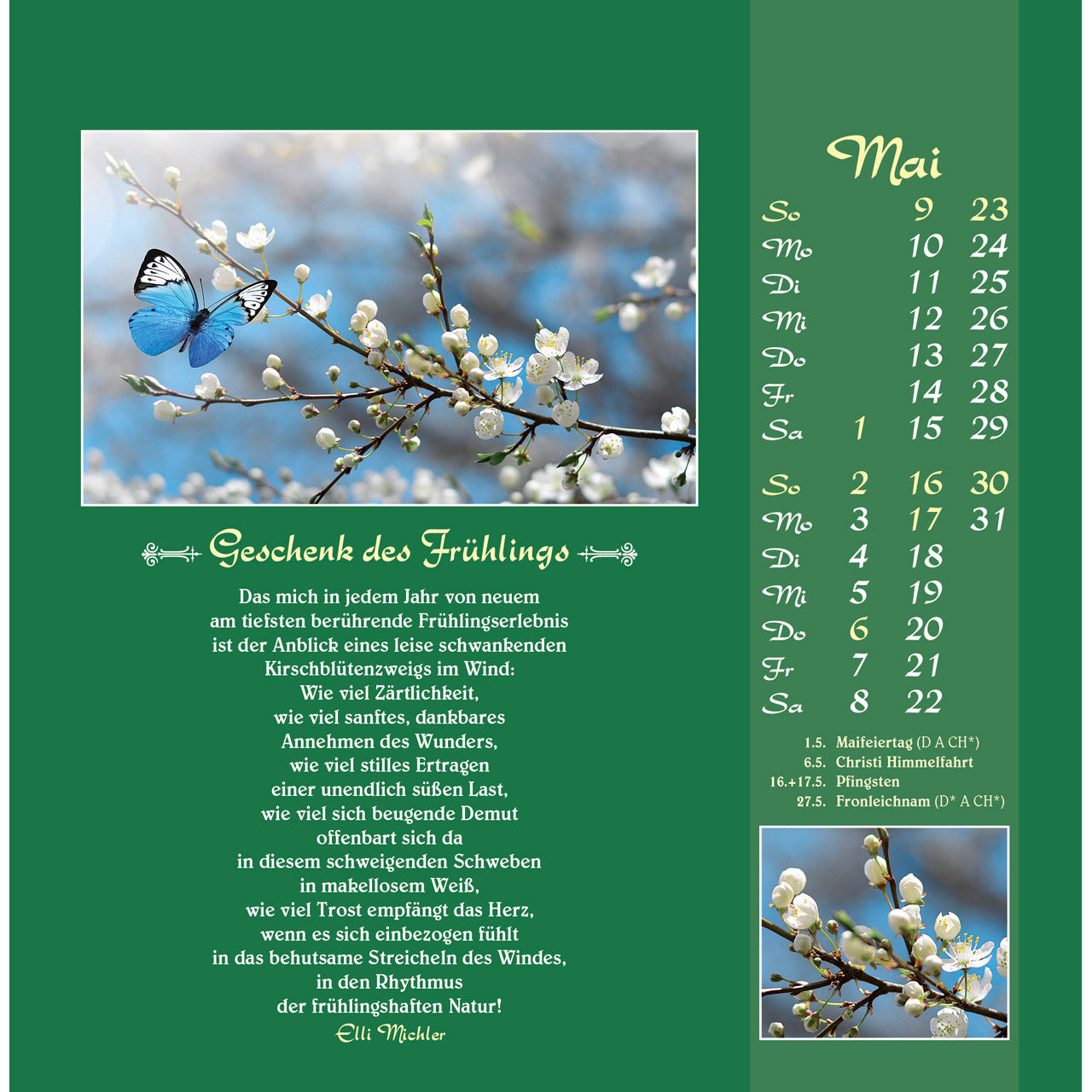 fontis-gute-w-nsche-sollen-dich-begleiten-2027-postkartenkalender image 7