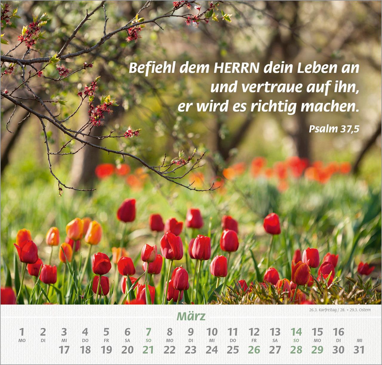 fontis-denn-du-bist-bei-mir-2027-wandkalender-gro-druck-landleben image 5