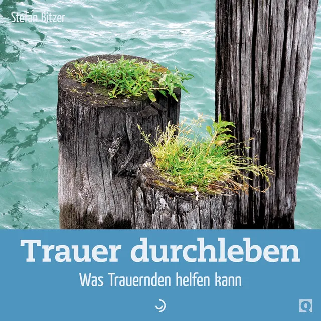 fontis-b-cher-trauer-durchleben-stefan-bitzer-geheftet image 1