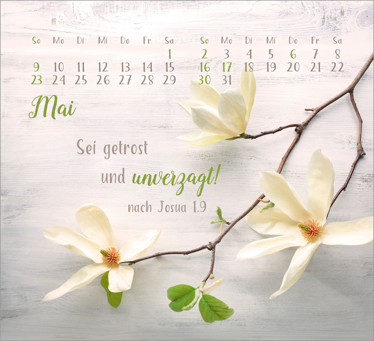 fontis-kalender-sei-gesegnet-2027-aufstellkalender-tisch image 7