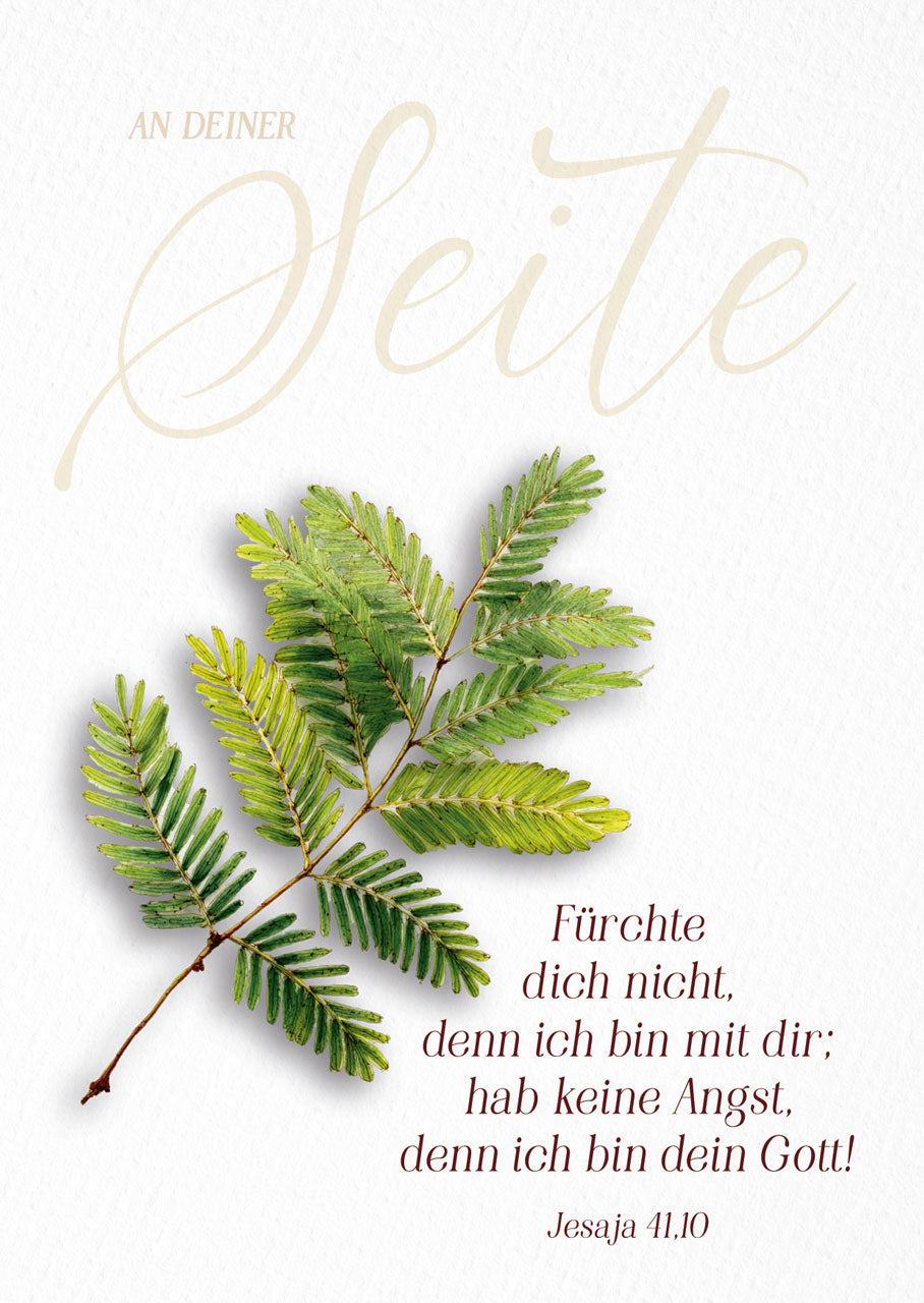 fontis-papeterie-f-rchte-dich-nicht-postkarten-12er-jahreslosung-2 image 1